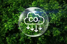 Carbon Wise - Vancouver business