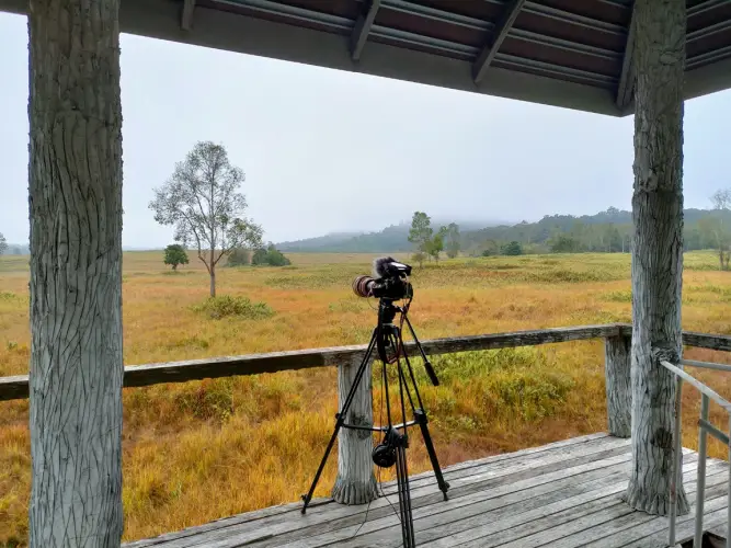 scenic-view-field.jpg