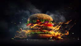 Burger Theory business