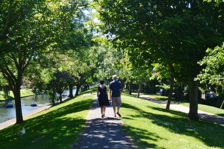 rear-view-people-walking-amidst-trees-park.jpg
