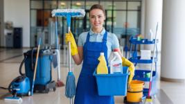 Carpet Cleaner Mississauga - Toronto - Carpet Cleaning listing