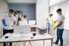 Carpet Cleaner Toronto - Toronto - Carpet Cleaning listing