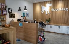 Comprehensive Care for Your Furry Friend - Coquitlam - Dog Sitting listing