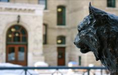 Discover Excellence at Brandon University - Enroll Today! - Brandon - Academic listing