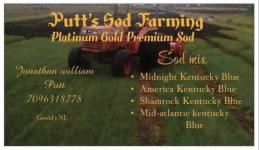 Expert Landscaping Services: Tree Planting, Sodding - St. John's - Lawn Care Services listing