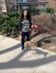 Loving Dog Care Services by Georgia in Toronto - Dog Sitting listing in Toronto