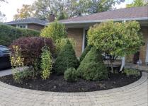 Transform Your Outdoor Space with Ultimate Lawn Care – Free Estimate! - Toronto - Party Planning listing