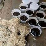 THE MOST POWERFUL HERBALIST MAN AND NATIVE DOCTOR IN NIGERIA - photo 5 / 6