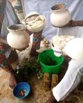 The best native doctor and herbalist - photo 2 / 6