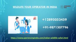 Wildlife tour operator in India +12895053459 - Website Design listing in Vancouver