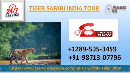 Best +12895053459 Tiger Safari India Tour - Vancouver - Adventure Tours listing