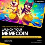Dominate the Crypto Market with Custom Meme Coins by Pluranc - Custom Software Development listing in Edmonton