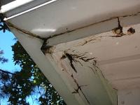 Roof Repairs - Gutters - Pipes - photo 3 / 6