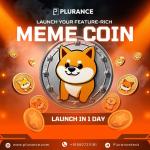 Create and Launch Your Viral Meme Coin with Plurance - Custom Software Development listing in Edmonton