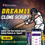 Champions Trophy Fever? Start Your Dream11 Clone & Profit! - Toronto - Custom Software Development listing