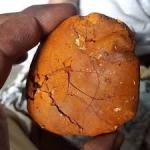 Buy cow /Ox Gallstone Available In Stock Now - Toronto - General listing