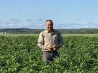 What Makes Farm-Fresh Vegetables Better for Your Health? - Farm & Garden listing in Toronto