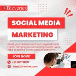 Premium Social Media Marketing Services - Social Media Marketing listing in Ottawa
