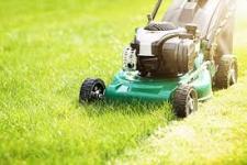Lawn mowing contract special $460 - Toronto - Lawn Care Services listing