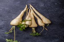 Top parsnip supplier in Canada - Farm & Garden listing in Toronto