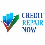 Credit Repair Now - Accounting Services listing in Toronto
