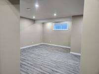Top Basement renovation in Edmonton, Alberta - photo 3 / 5