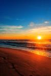 Mature Gentleman Seeking Early Morning Connection (6am–8am) - Male Escorts listing in Toronto