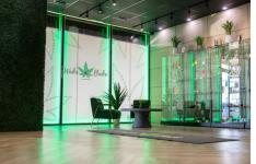 High-Quality Cannabis in Edmonton | Deals You Can’t Miss! - Edmonton - General listing