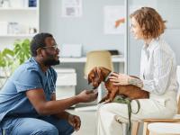 Felix and Fido at Home Nursing Care LTD - Emergency Care listing in Vancouver