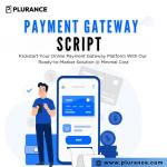 Low-Cost Payment Gateway Script to Launch Your Payment App - Custom Software Development listing in Toronto