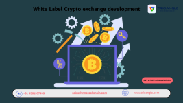 White Label Crypto exchange development - Custom Software Development listing in St. John's