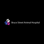 Bruce Street: Pet services near me Kitchener - Kitchener-Waterloo - Vaccinations listing