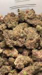 Creative Spark & Focus Flower - Toronto - General listing
