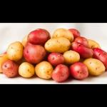 What to Look for in a Reliable Vegetable Supplier - Toronto - Food & Treats listing