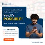 Audit Smarter in Minutes – Try Stockount Free Today - photo 2 / 6