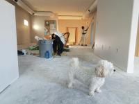 Professional Interior Painting Hamilton - Hamilton - Painting Services listing