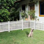 Picket Vinyl Fence | Durable & Stylish Fencing - Farm & Garden listing in Saskatoon