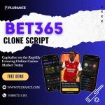 Bet365 Clone Script with Real-Time Odds API, Multi-Currency - Edmonton - Website Design listing
