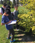 Looking for a Markham Private School That Blends Education - Academic listing in Toronto