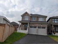Sutton Jackson's Point Georgina Newly Built House for Rent - Toronto - Houses for Rent listing