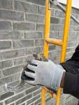 Squirrel Removal — Fast & Humane Wildlife Removal Solutions - Rodent Control listing in Toronto