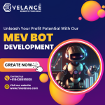 MEV Bot Development company at low cost - Custom Software Development listing in Ottawa