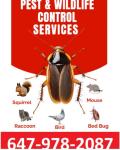 Top Notch Pest Control - Toronto - Insect Control listing