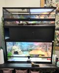 Reptile and Small Animal Boarding - photo 2 / 2