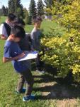 Engaging & Structured Summer Camps in Markham, ON, at Trillium School - Toronto - Language Tutoring listing