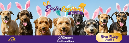 National Service Dogs Annual Easter Egg Hunt for Dogs - photo 2 / 3