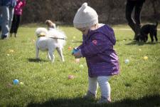 National Service Dogs Annual Easter Egg Hunt for Dogs - photo 3 / 3
