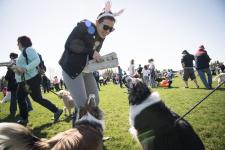 National Service Dogs Annual Easter Egg Hunt for Dogs - Kitchener-Waterloo - Other Events listing