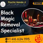 Indian best astrologer, psychic spiritual healer in Toronto - photo 3 / 4
