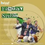 2026 Fantasy Sports: Build Apps Fans Can’t Stop Playing - Custom Software Development listing in Ottawa